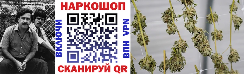 Альфа ПВП Полевской
