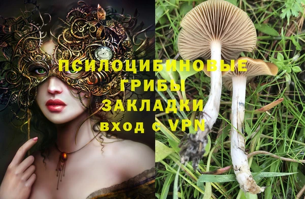 гидропоника Армянск