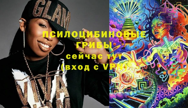 мяу мяу мука Арсеньев